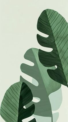 an abstract painting of green leaves on a white background with shadow from the leaf to the left