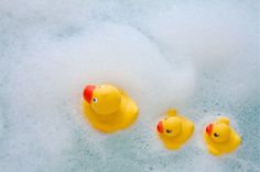 three rubber ducks floating in foamy water