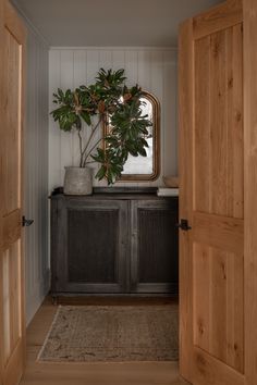 a potted plant sitting on top of a wooden cabinet next to a mirror and door