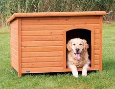 a dog is sitting in his wooden kennel