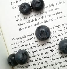 four blueberries laying on top of an open book