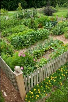 a garden with many different types of plants and flowers in the center, surrounded by a wooden fence