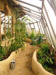 the inside of a greenhouse with many plants growing in pots and on the ground next to it