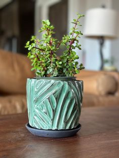 a small potted plant sitting on top of a wooden table next to a couch