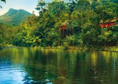 a tree house in the middle of a forest with water and trees on both sides