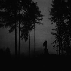 a person walking through the woods at night