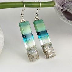 two pieces of glass sitting on top of a green and white plant next to a pair of earrings