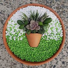 Suculentas - Dicas de jardins pequenos e simples para sua casa Succulent Garden Design, Succulent Garden Diy, Succulent Art, Dish Garden, Succulent Gardening, Succulents Indoor, Mini Succulents, Succulent Terrarium