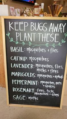 Plants That Repel Bugs, Garden Yard Ideas, Lawn And Garden, The Plant, Permaculture, Plant Life, Garden Planning