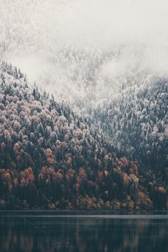 the mountains covered in snow and trees are reflected in the still water on a foggy day