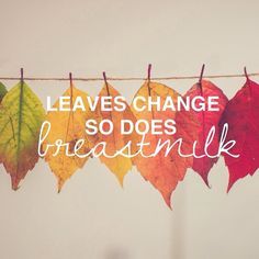 leaves are hanging on a line with the words leave change so does breastmik