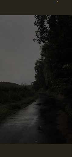 a dark road with trees and grass on both sides