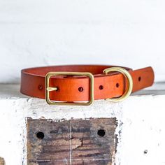 a brown leather dog collar with brass buckles on a white brick wall next to a piece of wood