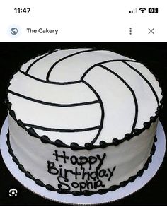 a birthday cake decorated with a volleyball ball and happy birthday script on it's side