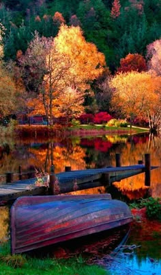 a boat sitting on top of a body of water next to a forest filled with trees