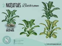 some green plants and rocks are shown in this graphic art work, with the words naturals bathroom on it