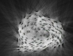 an abstract photo with white and green dots in the center, on a black background