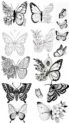 the different butterflies are drawn in black and white, including one that is on top of another