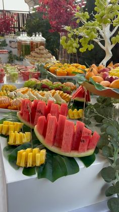 watermelon slices, pineapples and other fruits are on display at a buffet