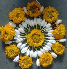 white and yellow flowers arranged in a circle