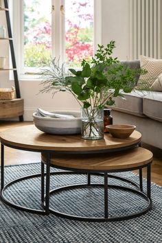 a living room with two coffee tables and a plant on the table in front of it