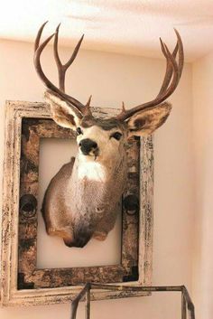 a deer head mounted on the wall in a frame