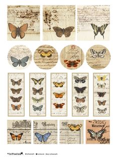 butterflies are shown on old paper and have been altered to look like they're from the