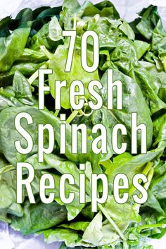 spinach leaves with the words 70 fresh spinach recipes