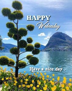 a happy wednesday card with flowers and trees on the water's edge in front of mountains