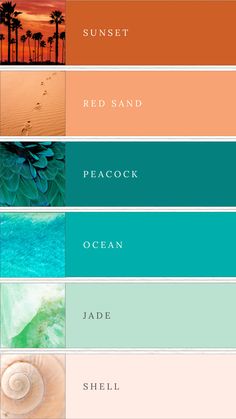 A vibrant summer moodboard featuring a teal and orange color palette. The palette includes burnt orange, peach, teal, turquoise, jade green, and light peach. This harmonious blend of bold and soft hues creates a lively and elegant look, perfect for small business branding or summer weddings. The moodboard showcases color swatches and design elements, highlighting the palette's versatility and refreshing aesthetic. Turquoise Terracotta Color Schemes, Colours That Go With Turquoise, Teal Colors Palette, Beach Summer Color Palette, Colors That Go Good Together, August Color Scheme, Tropical Colors Palette, Colour Palette Turquoise, Beach Colors Palette