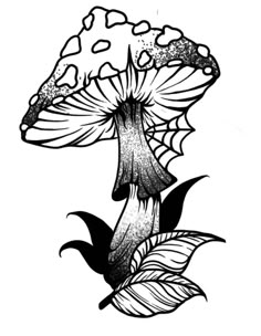 a black and white drawing of a mushroom with leaves on the bottom, it's head