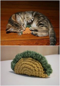 there are two pictures one has a cat and the other has a crochet hat