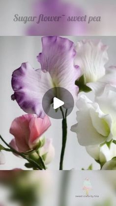 the video shows how to make sugar flower sweet pea