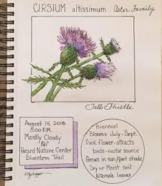 an open notebook with some drawings and instructions on the page, including flowers in different stages of blooming