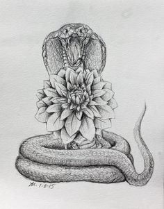 a pencil drawing of a snake on top of a flower with its head in the center