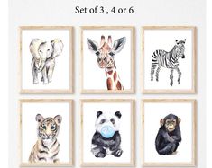 four framed pictures with animals on them and the words set of 3 or 6 in each