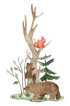 watercolor painting of bears and birds in a tree with pine cones on the ground