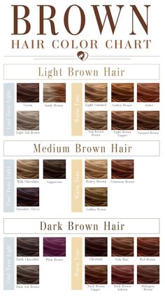 Brown Hair Color Chart, Dark Ash Brown, Hair Chart, Brunette Hair Cuts, Motivasi Diet, Brown Hair Shades, Medium Brown Hair, Chocolate Hair, Brown Hair Color