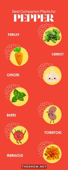 a poster with different types of vegetables on it