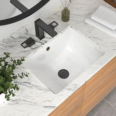 a white sink sitting on top of a counter next to a plant and towel dispenser