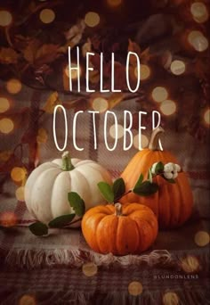 three pumpkins with the words hello october