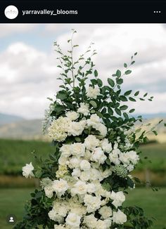 white flowers and greenery decorate the top of a tall vase in front of a grassy field