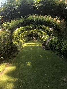 an archway in the middle of a lush green garden