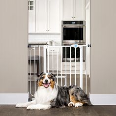 a dog laying on the floor in front of a kitchen with a refrigerator and microwave