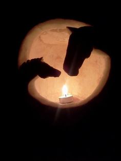 two hands reaching out towards a lit candle in the shape of a horse's head