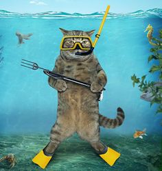 a cat wearing goggles and holding a fishing pole in the water with fish around it