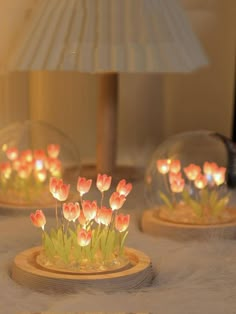 three glass globes with flowers in them sitting on a white furnishing area