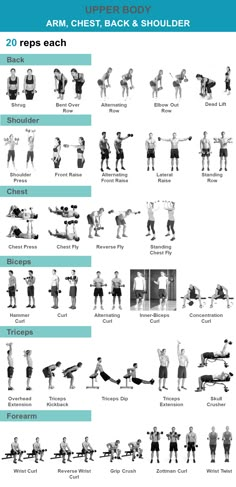 an exercise poster showing the different exercises to do for back and shoulder workouts, as well as instructions on how to use them