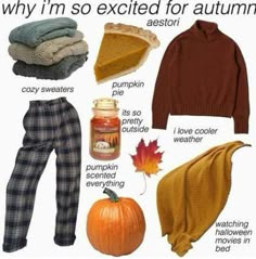 Fall Goals, Autumn Clothing, Fall Things, Funny Life, Fall Inspo, Fall Halloween Decor, Fall Feels, Autumn Cozy, Autumn Aesthetic