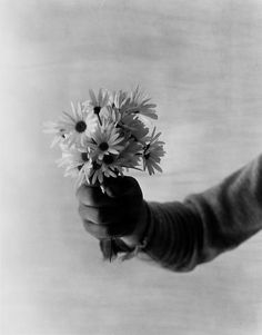 black and white photograph of someone holding flowers in their hand with the other hand out